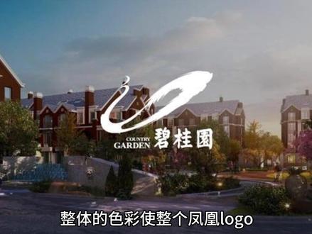 你知道碧桂园logo的涵义吗?#logo设计 #设计分享