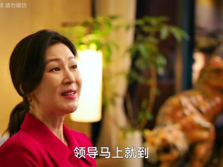 第27~28集:刘天也上桌!贺彪下线! #罚罪2 #新剧来袭 #因为一个片段看了整部剧