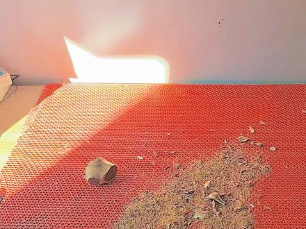 #日常分享# 人物制作过程#带你玩木头