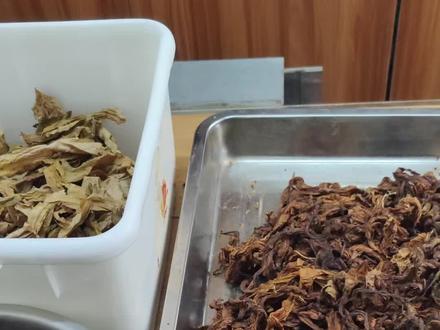 VBO调配草制作分享#烟斗客 #斗草 #斗粮