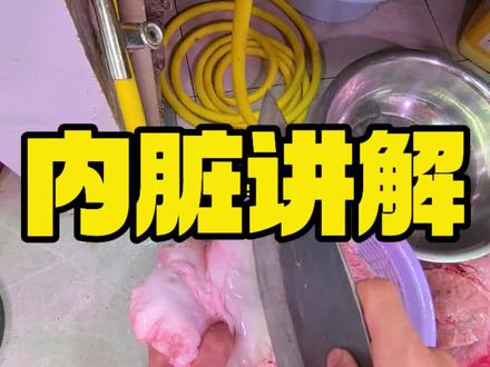 猪内脏讲解,痛风朋友可以忽略。#猪内脏 #鸡冠油