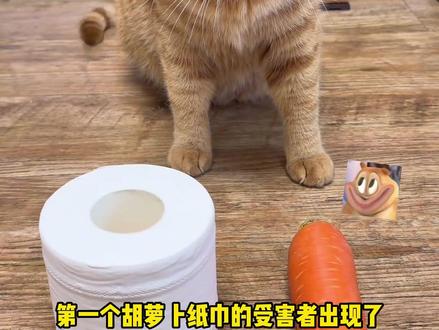 第一个胡萝卜纸巾的受害者出现了 #搞笑 #胡萝卜纸巾