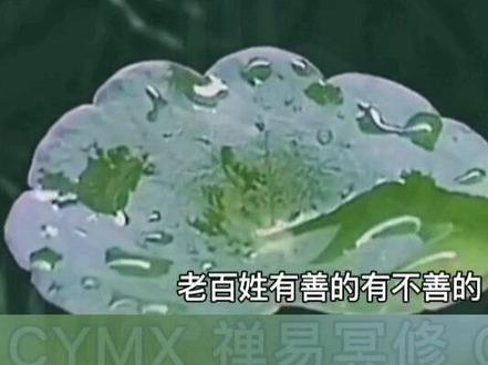 听曾老逐解道德经第四十九章#中华文化 @DOU+小助手