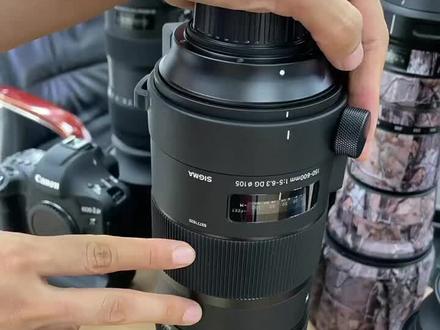 适马150-600S运动版,完美成色哦😍😍😍😍😍😍😍