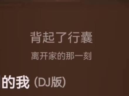 你看到的我DJ(1.2速) #音乐