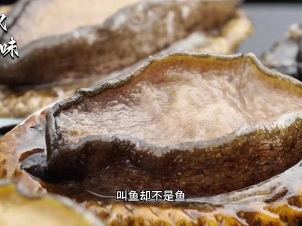 鲍鱼 #真实生活分享计划 叫鱼却不是鱼,连名字都是来源于口误,却凭借鲜美味道深受人们喜爱。#鲍鱼 #地方特色美食 #美食 #舌尖上的美食