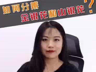 金银花跟山银花的功效区别#中药材#金银花#植物饮料