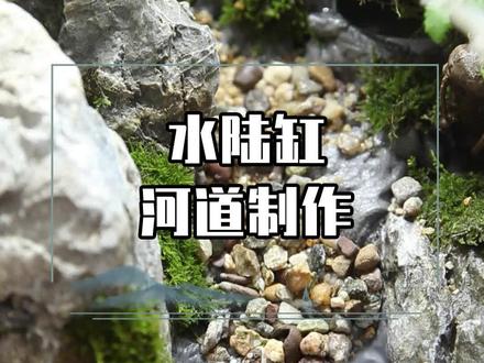 水陆缸造景河道的制作#水陆缸造景 #鱼缸造景