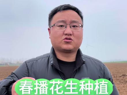 春播花生种植怎么样才能更高产#花生#花生种植#花生高产#花生高产种植#花生种植技术