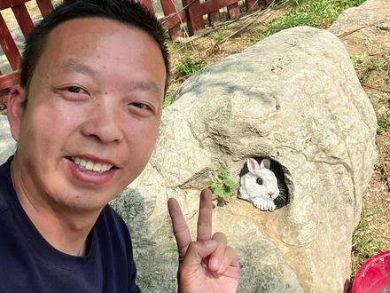 在石头洞里画一只小白兔#画画#随拍