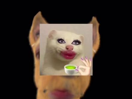 恋情~洗白? #娱乐 #吃瓜 #吐槽 #周杰伦 #田馥甄