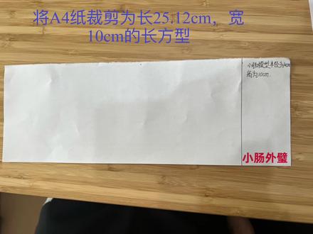 Mark:生物实验小肠模型