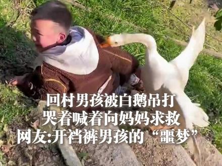 1月30日(采访时间),湖北恩施,#回村男孩被白鹅吊打 ,哭着喊着向妈妈求救。网友:#开裆裤男孩的噩梦 。#过年回家 #回村的生活 @桐妈吖