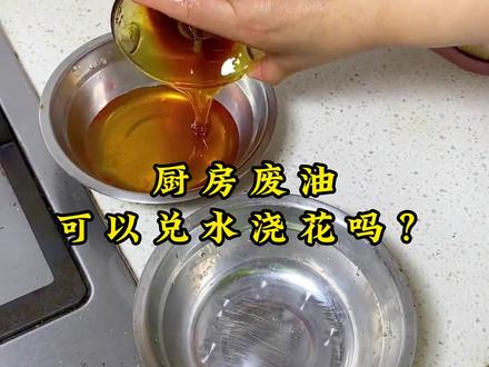 厨房油烟机废油可以用来养花?#养花小知识 #花卉绿植 #爱生活爱养花 @抖音小助手