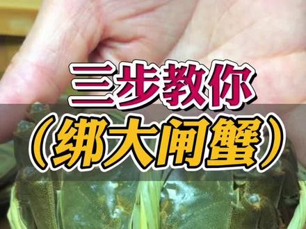 三步教会你轻松绑大闸蟹 #阳澄湖大闸蟹 #大闸蟹 #螃蟹🦀