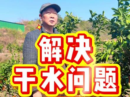 如何解决脐橙干水问题#三农 #农村生活 #记录真实生活 #抖音助农 #农村生活