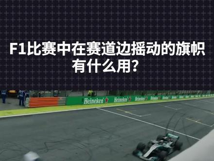 教你#f1的特有“语言”:旗语🏁