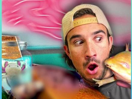 从暗网买来的保险箱盲盒中,究竟隐藏着什么?#剧情 #演绎