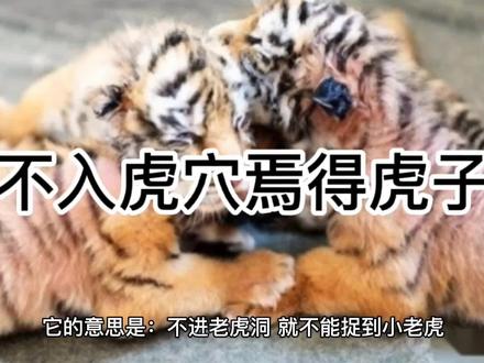 每天一个涨知识小技巧 #历史故事 #涨知识 #中华文化 #历史 #弘扬国学经典文化 #知识分享 #民间故事 #读书 #科普一下