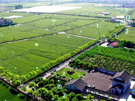 #天演维真 #实操案例 浙江高标准农田样板区,看上虞崧厦绿色农田新模式#振兴乡村#高标准农田