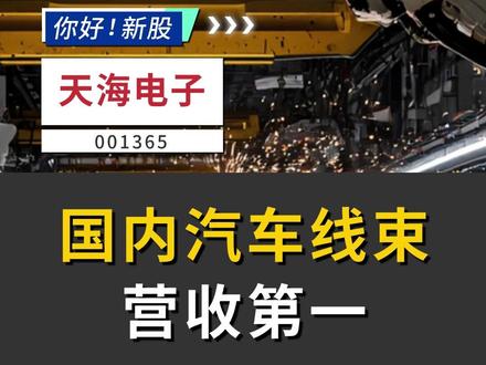 天海电子:国内汽车线束营收第一