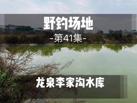 野钓场地41,龙泉李家沟水库,传说中的空军基地,等你挑战 #原来钓鱼才是抖音运动顶流#野钓 #钓点 #游钓江湖
