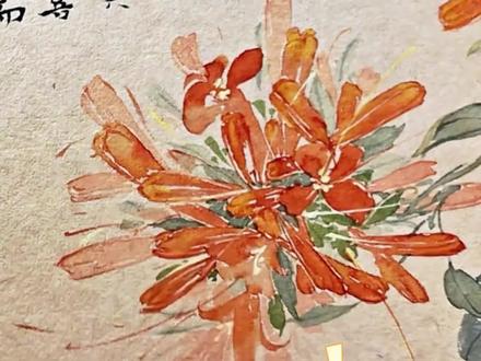 从零基础到精通没骨花鸟学习#零基础学画画 #没骨画#国画 #国画教程