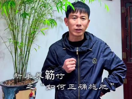 这期视频教教大家小叶簕竹如何正确施肥#盆景养护 #小叶簕竹 #如何正确施肥 #养护知识分享