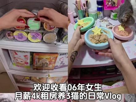 养猫人的一天日常Vlog#猫咪 #养猫人 #猫咪vlog日常 #vlog十亿流量扶持计划 #猫咪配餐vlog