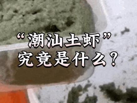 讲解:潮汕土虾究竟是什么!?你想象不到的美食,像泥土一样的潮汕美食,下饭超赞!#潮汕土虾 #潮汕美食 #潮汕 #中华美食 #上热门