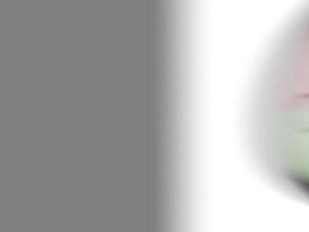 【一分钟一种思想】马蹄铁中心主义(中间派)