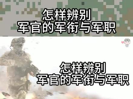 如何辨别军官的军街与军职