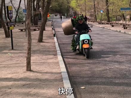 第一次,见会动的草#假期就在本溪关山湖#野人谷的快乐日子#带你体验做野人的快乐