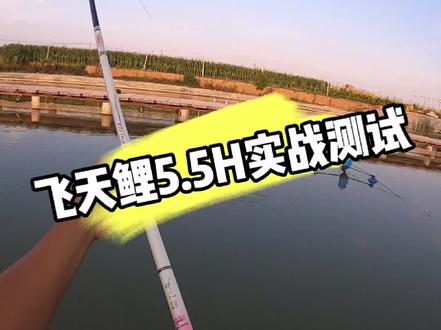 飞天鲤5.5H实战测试,能屈能伸,适合黑坑正钓的中后期或者偷驴,不太适合休闲野钓,硬度腰力都还可以,由于是钓友的杆子,就没有办法给钓友搞福利测试杆了。#2022dou来钓鱼