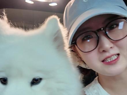 西藏捡狗四只❗️全网最全的带多狗旅行攻略,看这篇就够了! 关注我的老粉都知道,作为一名带着毛孩子自驾10万公里的资深旅行家🐾
今天就把我私藏多年的带狗旅行秘籍大公开!
从目的地到行程,从酒店到行李,一站式搞定✨好多人私信我要我出的,尤其是多狗家庭,不知道去哪,和找酒店是最最最麻烦的事情。
🌟神仙目的地安利
西藏、川西、云南、内蒙、新疆
都是对狗狗超级友好的天堂!
西藏和川西适合自驾,很多景区都很包容云南的洱海边、内蒙古的草原,但是冬天的内蒙古、实在是太冷了,狗都不愿意下车,还是夏天去最好
📝行程规划实战
这次国庆选择在浙江千岛湖玩水
就是用腾讯元宝做的全程规划
只要输入“带狗千岛湖3日游”
秒生成完整行程单!
🏨酒店筛选秘籍
找酒店是最头疼的环节!
用腾讯元宝直接筛选“允许携带宠物”酒店
还能看到真实住客的宠物相关评价
🎒行李收纳清单
出门前用腾讯元宝生成带狗出行清单
证件、急救包、玩具、口粮
根据天气准备的衣物,一个不落
还会提醒带浴巾和吹风机
玩水后及时保暖超重要
有了腾讯元宝这个智能旅行管家
带狗出行真的轻松太多!
都能用来更好地陪伴毛孩子💕
#带狗旅行 #宠物友好 #自驾游攻略 #养狗必备 #腾讯元宝