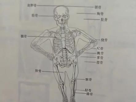 ai库里之歌舞蹈特效教程 #ai库里之舞 #ai库里之歌舞蹈 #库里库里库里库里 #库里之歌舞蹈挑战 #库里之歌