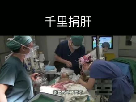 一个小生命挽救另一个小小生命的故事#btv生命缘