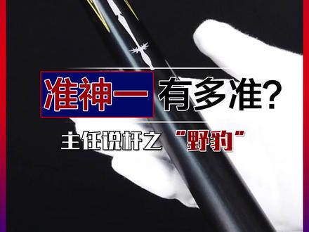 选杆需谨慎就来找主任,风里雨里我在这等你,野豹准神1 #台球 #台球杆