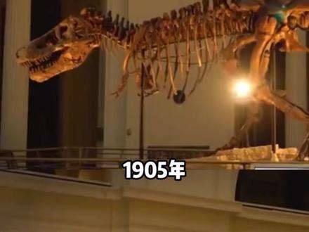 霸王龙的前肢那么短,到底有什么用 #霸王龙 #动物 #神奇的大自然 #搞笑 #反转