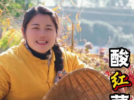 红菜苔不知道怎么吃?做成酸菜,嘎嘎好吃,颜色也好看 #乡村味道 #农村美食 #新农人计划2026 #红菜苔