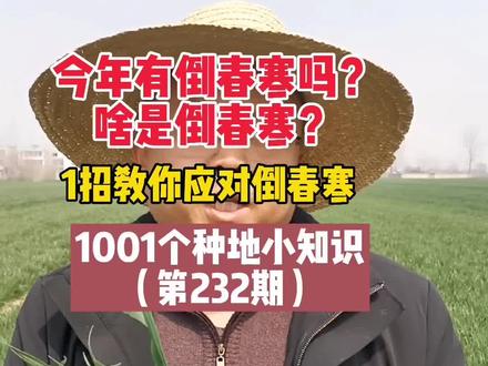 会有倒春寒吗?如何应对?啥是倒春寒?#三农 #农业种植 #农技 #农业 #农资 #种小麦 #种粮 #新农人计划