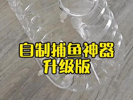自制捕鱼神器升级版#捕鱼神器#野采#户外抓鱼#武汉遛娃