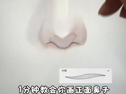 有手就会的鼻子板绘教程来喽! #绘画教程 #procreate绘画 #零基础学画画 #板绘 #鼻子画画