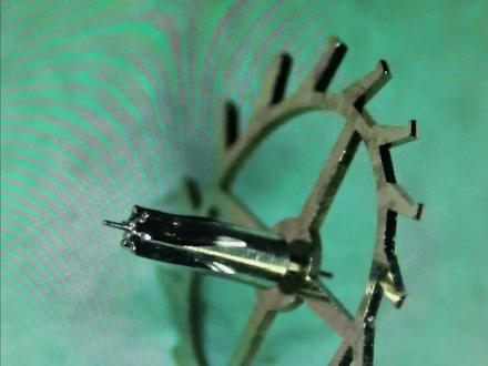 做擒纵轮瓣子,春节期间有得吹了!#手表 #修表 #手艺人