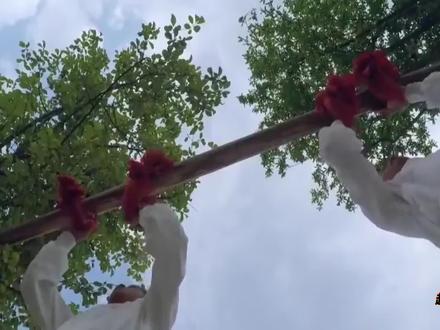 不愧是武当传人!武当高徒展示轻功绝技,4米高墙轻松就可翻越