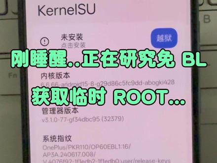 正在研究免 BL 获取临时 ROOT,用甲壳虫都行.. #手机数码 #root