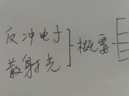 #思维导图 #WPS 思维导图概要怎么添加下级
