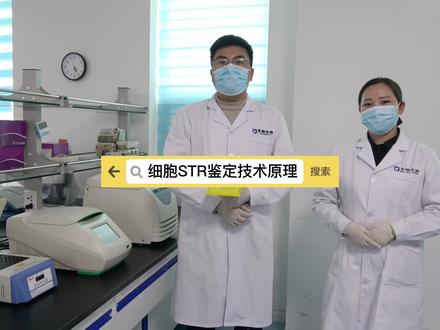 细胞STR鉴定技术原理#科普 #实验 #北纳生物