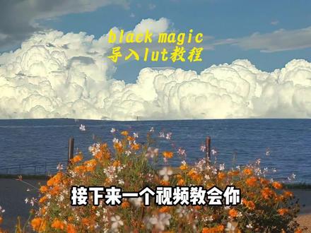 blackmagic导入lut教程#blackmagic #lut #自然 #调色 #调色教程 lut调色套装滤镜素材包 blackmagic cam lut调色套装 影视飓风lut下载 影视飓风lut在哪下载 影视飓风lut文件怎么导入 影视飓风lut素材包 林馆长lut调色套装 林馆长lut调色套装在哪获得 林馆长lut下载 影视飓风lut文件 影视飓风lut哪个最好 影视飓风lut人像 blackmagic camera lut 下载 blackmagic camera lut导入 blackmagic camera下载 blackmagic camera app blackmagiccamera安卓版 blackmagiccam安卓手机怎么下载 blackmagic camera lut包免费 blackmagic camera lut在哪里 blackmagic camera lut导入教程 blackmagic cam安卓版 影视飓风blackmagiccamera在哪下载 影视飓风blackmagiccamera怎么设置 影视飓风blackmagiccamera下载 林馆长lut调色套装安卓林馆长lut安卓机使用教程 林馆长lut调色套装哪个滤镜好看 木木馆长lut 木木馆长lut预设包 木木馆长lut怎么用 木木馆长lut滤镜 木木馆长LUT预设 木木馆长lut在哪找