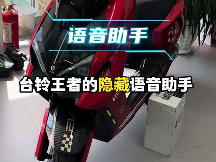 台铃王者的隐藏语音助手,你玩明白了吗?#如皋台铃#台铃苍穹2026#618选台铃 #隐藏功能